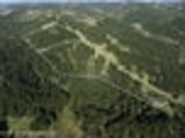 Land for sale in Ohaeawai, Northland