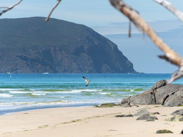 Acreage for sale in South Bruny, Tasmania