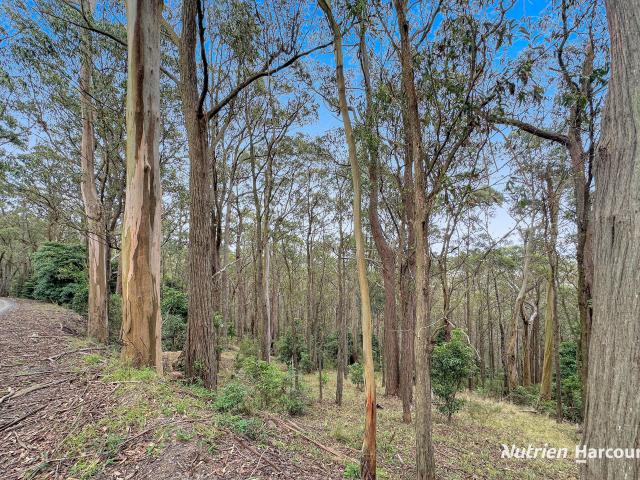 Property for sale in Binginwarri, Shire of Wellington
