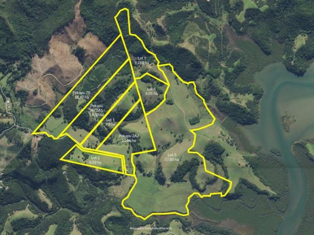 Land for sale in Northland