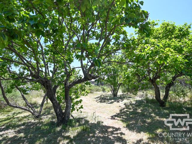 Cottage for sale in New South Wales