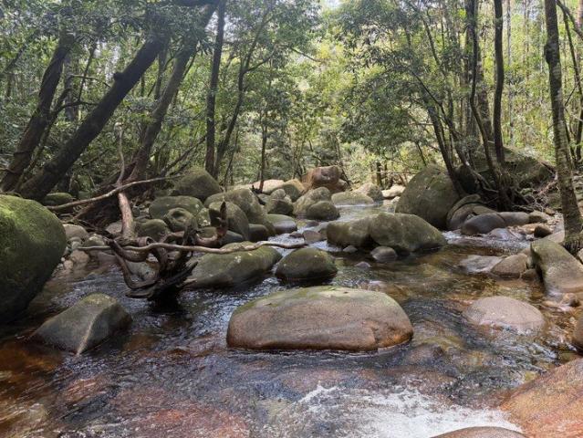 Land for sale in Diwan, Queensland