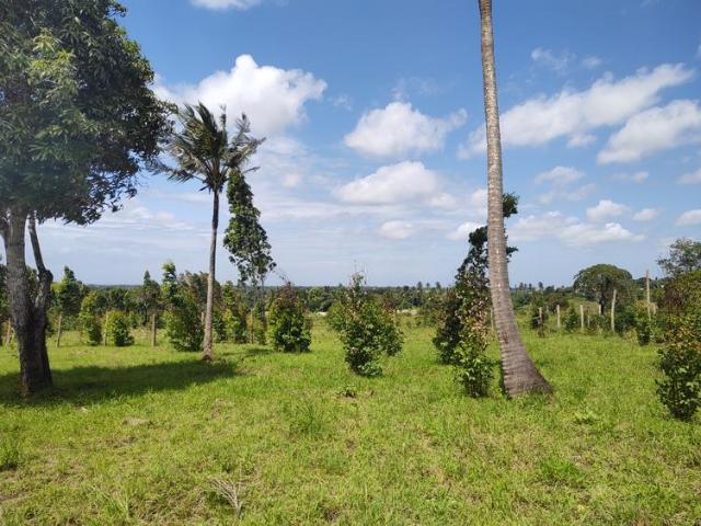Land for sale in Diani, Kwale
