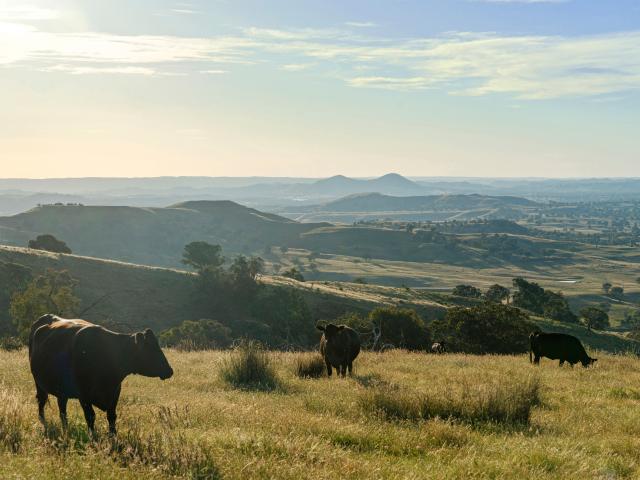 Property for sale in Barwite, Victoria