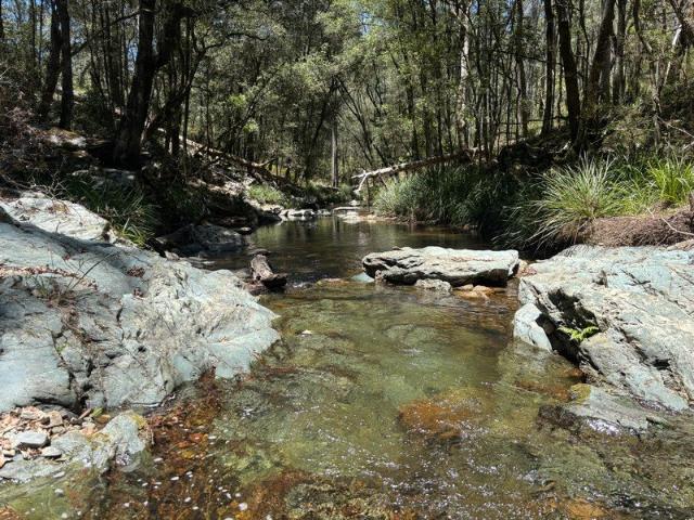 Cottage for sale in New South Wales