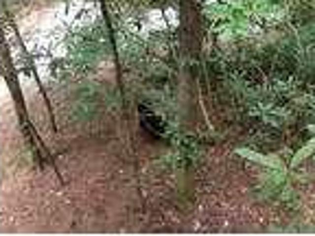 House for rent in Tennessee