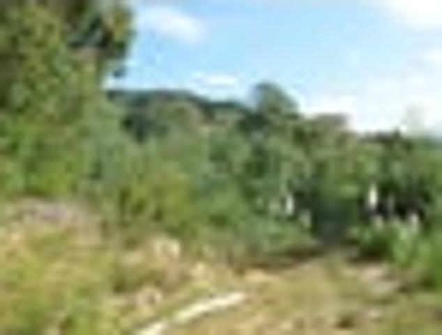 Land for sale in Koromiko, Marlborough