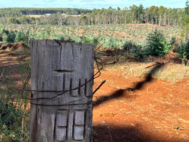 Cottage for sale in Manjimup, Western Australia