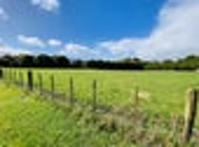 Land for sale in Northland