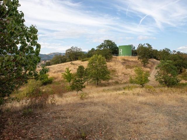 Land for sale in Riddle, Douglas County