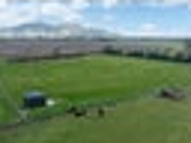 Land for sale in Gore, Southland