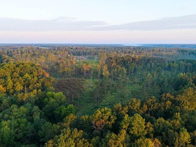 Farm for sale in Lutts, Middle Tennessee