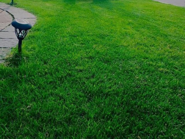 House for rent in Copper Hills, Newmarket