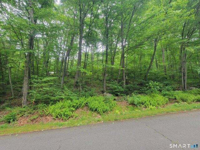 Land for sale in Canton, Connecticut