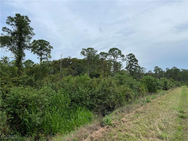 Land for sale in Labelle, Florida