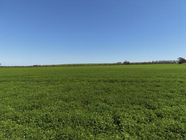 Property for sale in Kainton, Paskeville
