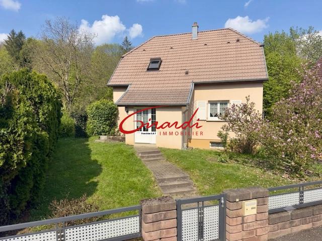 Maison vente à Mulhouse, Flaxlanden