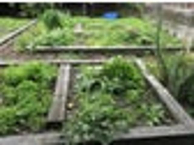 Land for sale in East Coast