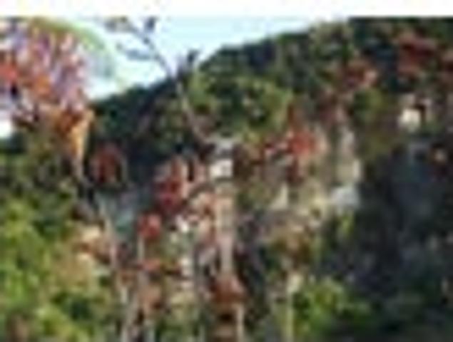 Land for sale in West Coast