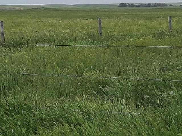 Land for sale in Edenwold, Saskatchewan