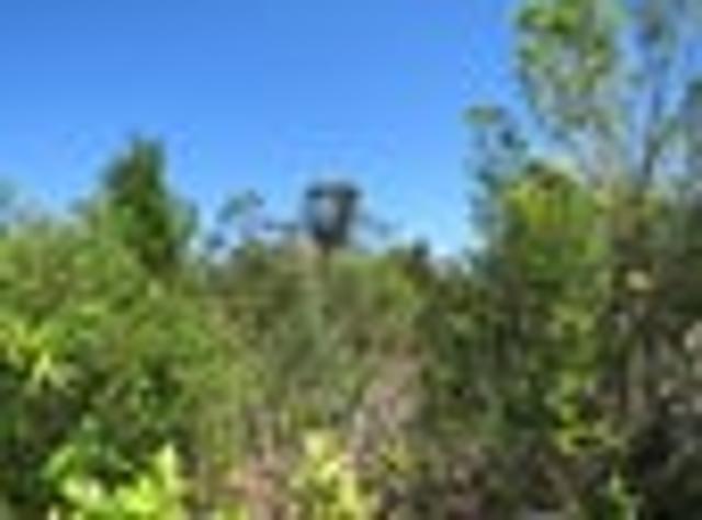 Land for sale in Waimangaroa