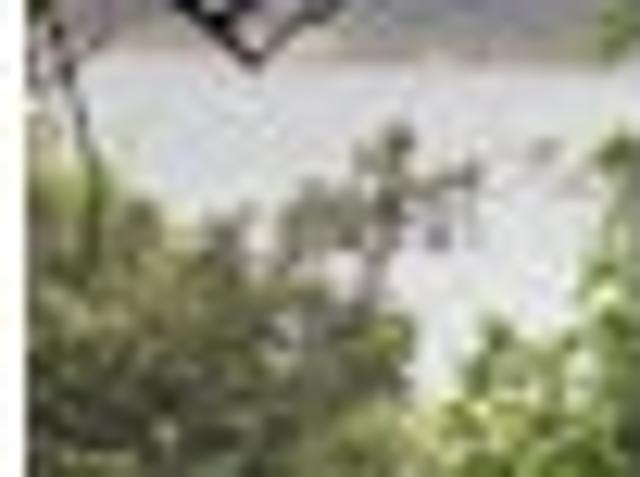 Land for sale in Matata, Wellington