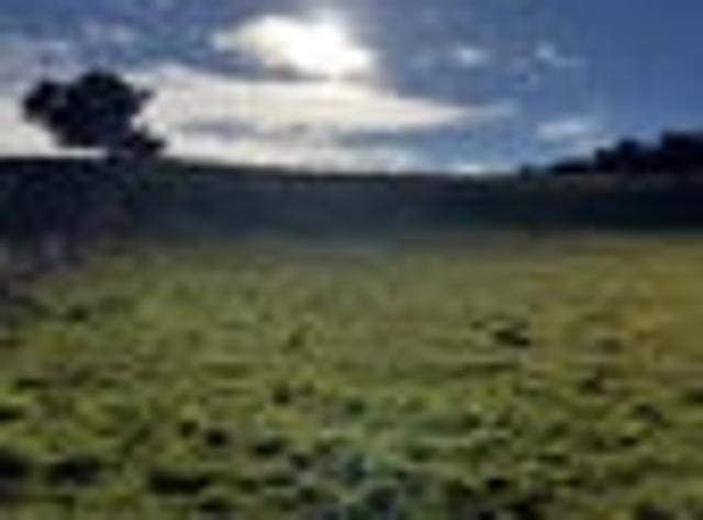 Land for sale in Apiti