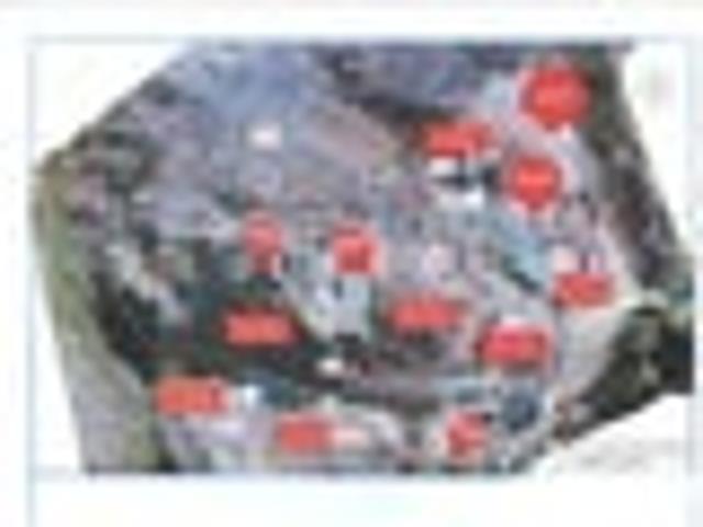 Land for sale in Otakou