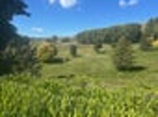 Land for sale