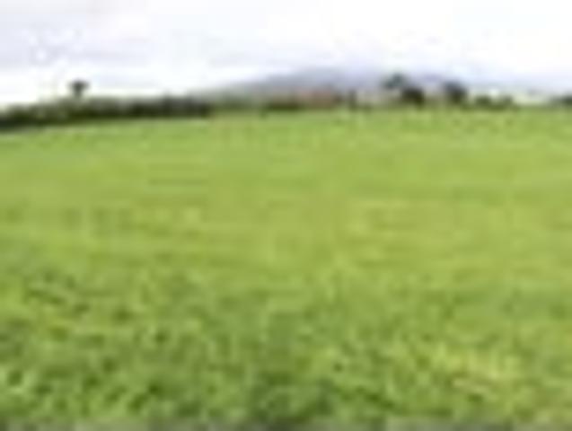 Land for sale in Okato, Taranaki