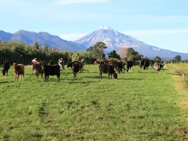 House for sale in Okato, Taranaki