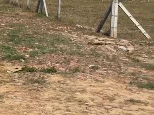 Commercial for sale in Hariana