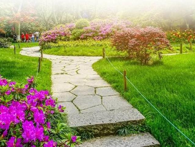 Land for sale in Hariana