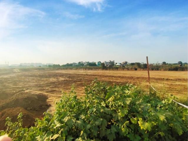 Land for sale in Hariana