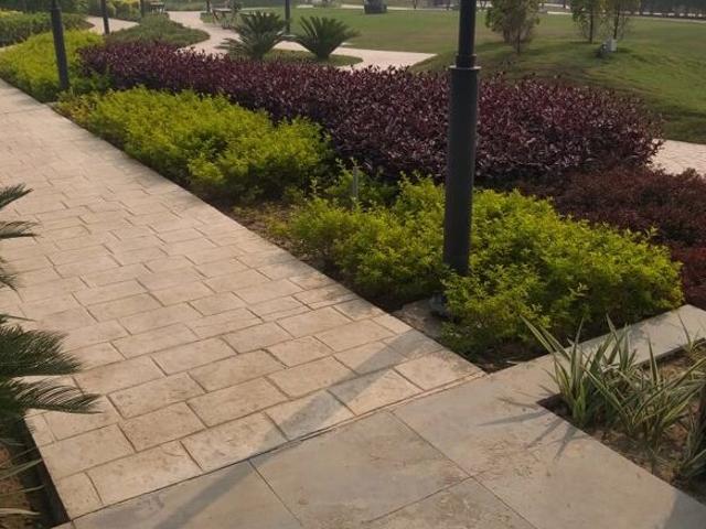 Land for sale in Hariana