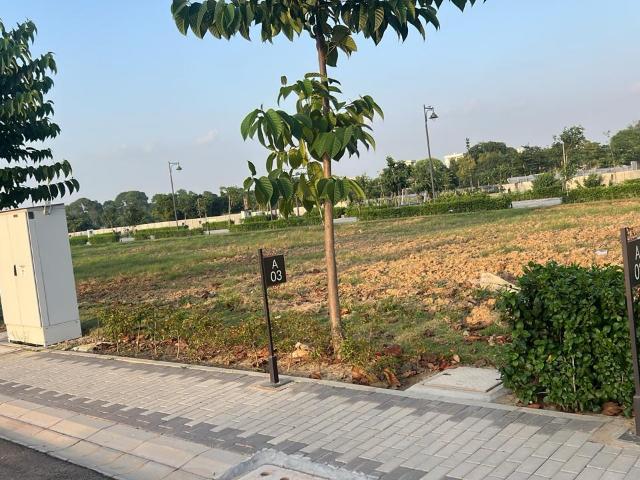 Land for sale in Hariana