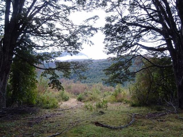 SECTOR CHOYQUEMORO 30 HA