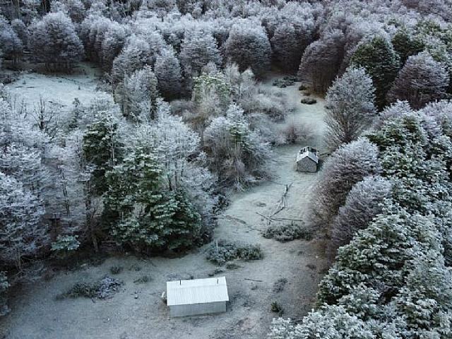 SECTOR CISNE MEDIO 230HA