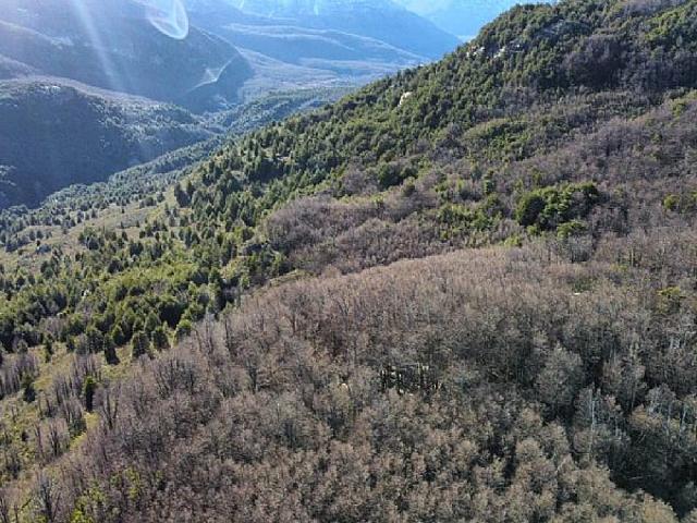 SECTOR CISNE MEDIO 230HA