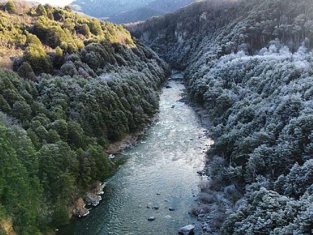 SECTOR CISNE MEDIO 230HA