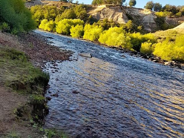 RÍO CLARO SOLAR 1HA + 2 REFUGIOS
