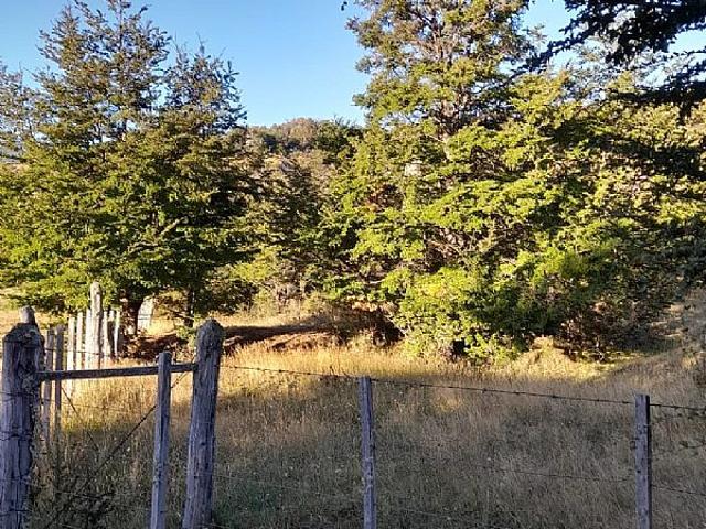 RÍO CLARO SOLAR 1HA + 2 REFUGIOS