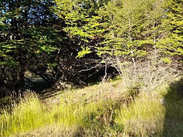 RÍO CLARO SOLAR 1HA + 2 REFUGIOS