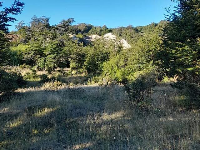 RÍO CLARO SOLAR 1HA + 2 REFUGIOS