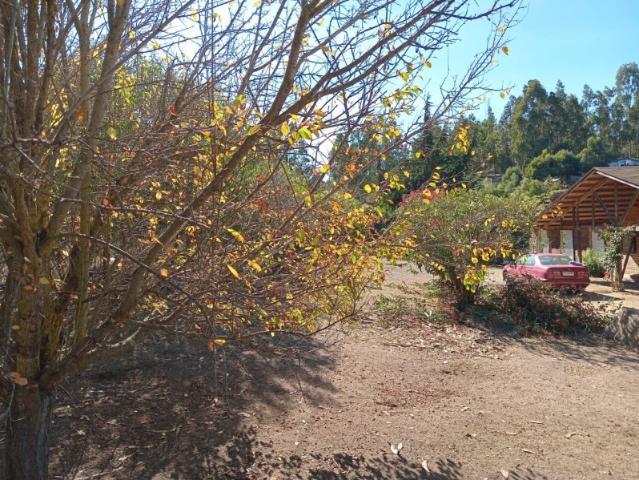 SECTOR EL ENCANTO, SAN JUAN DE LLOLLEO