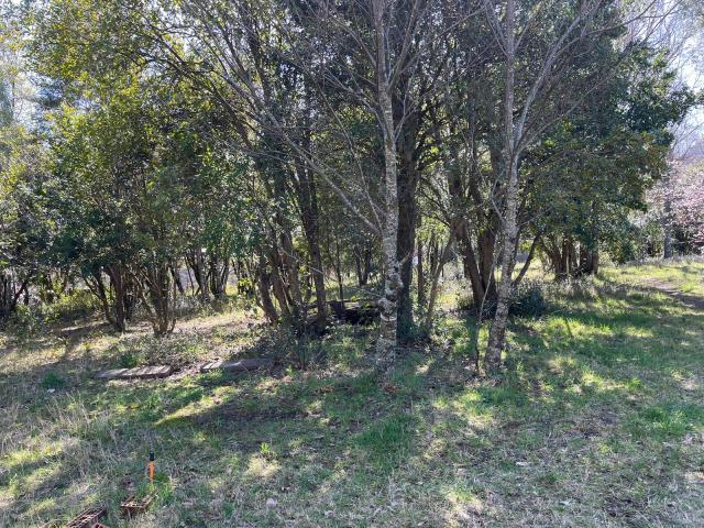 Sector los Pichichis/Sector los Pichichis Sitio Arriendo