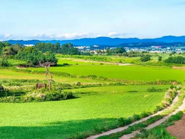 Land for sale in Mardan, North West Frontier Province
