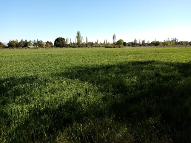Casa en venta en Contulmo, Biobío
