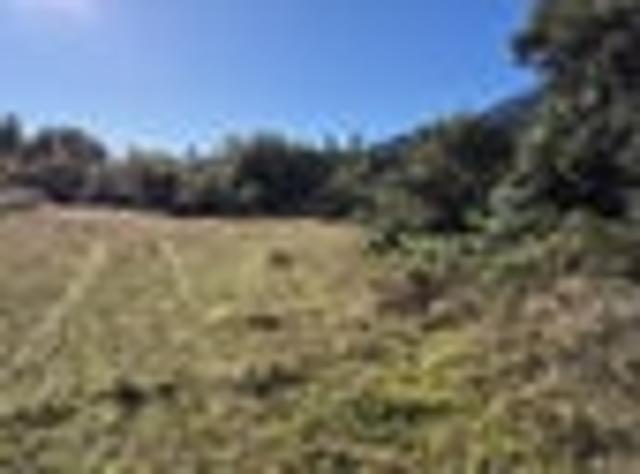 Land for sale in West Coast