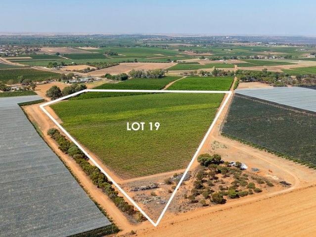 Land for sale in Loxton North, South Australia